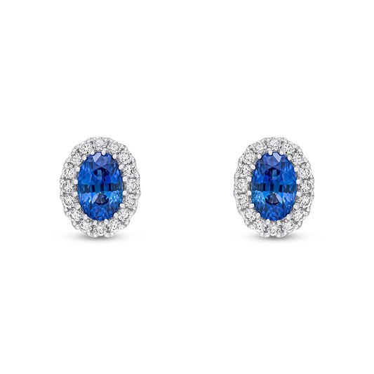 18ct White Gold Oval Natural Sapphire and Diamond Cluster Stud Earrings