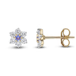 9ct Yellow Gold Round Natural Tanzanite & Diamond Claw Set Cluster Stud Earrings