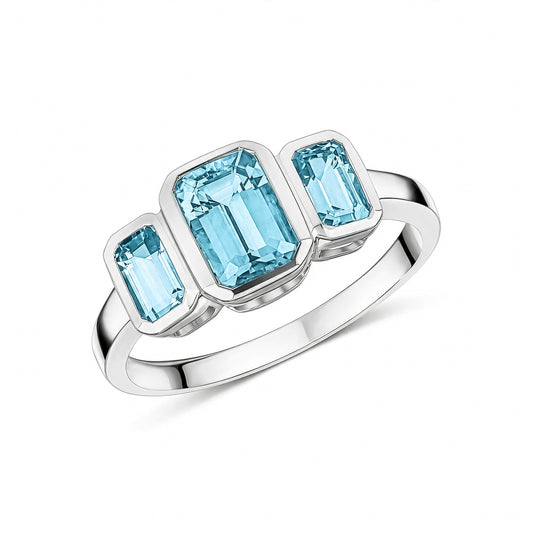 9ct White Gold Octagonal Natural Aquamarine Rubover Set Three Stone Ring