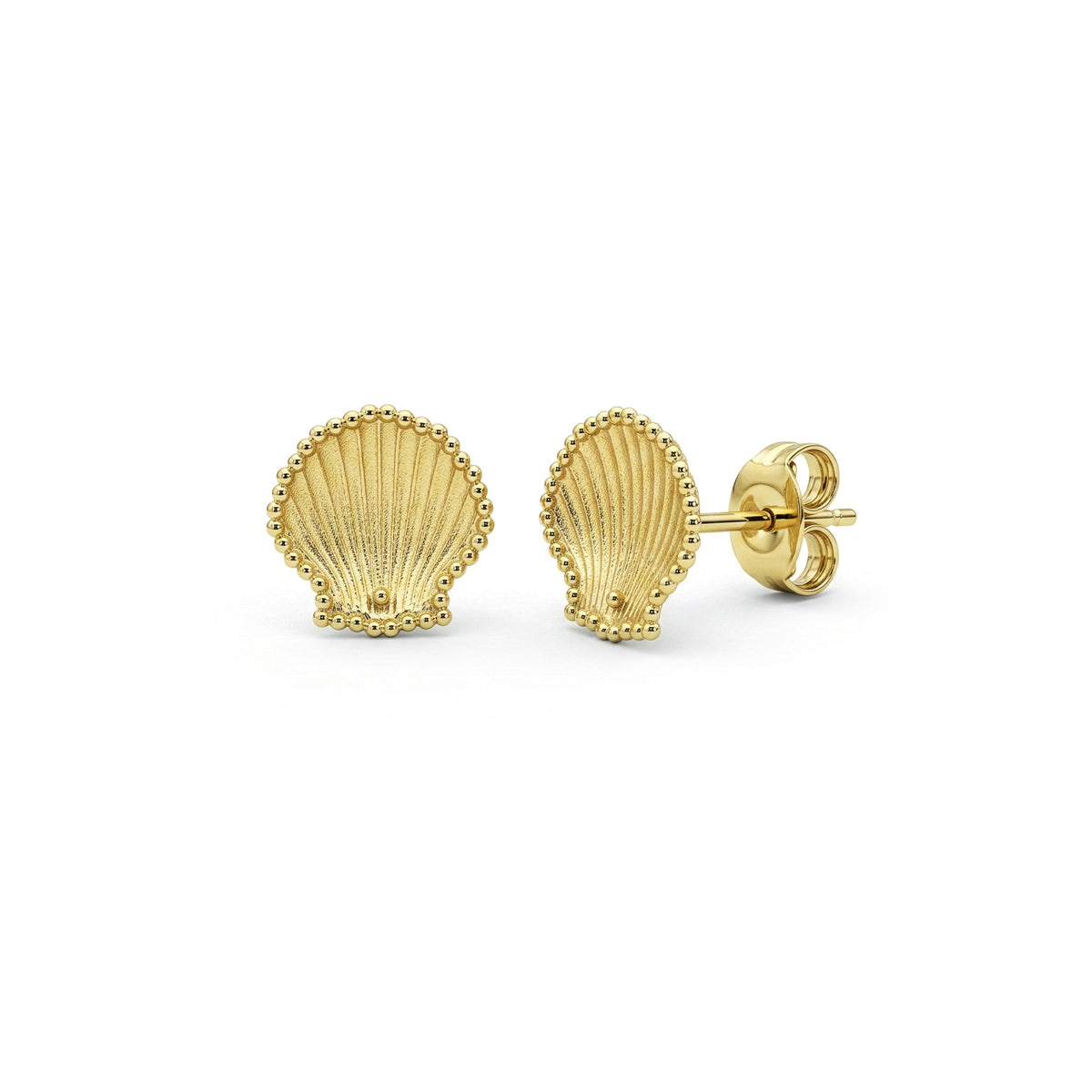 9ct Gold Satin Textured Scallop Shell Stud Earrings