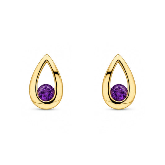 9ct Yellow Gold Round Natural Amethyst Teardrop Stud Earrings