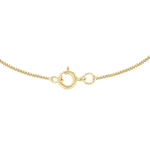 18ct Yellow Gold Diamond Cut Curb Necklace — 0.6mm detail image