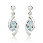 9ct White Gold Oval Natural Aquamarine 'Eye' Drop Earrings — 6x4mm