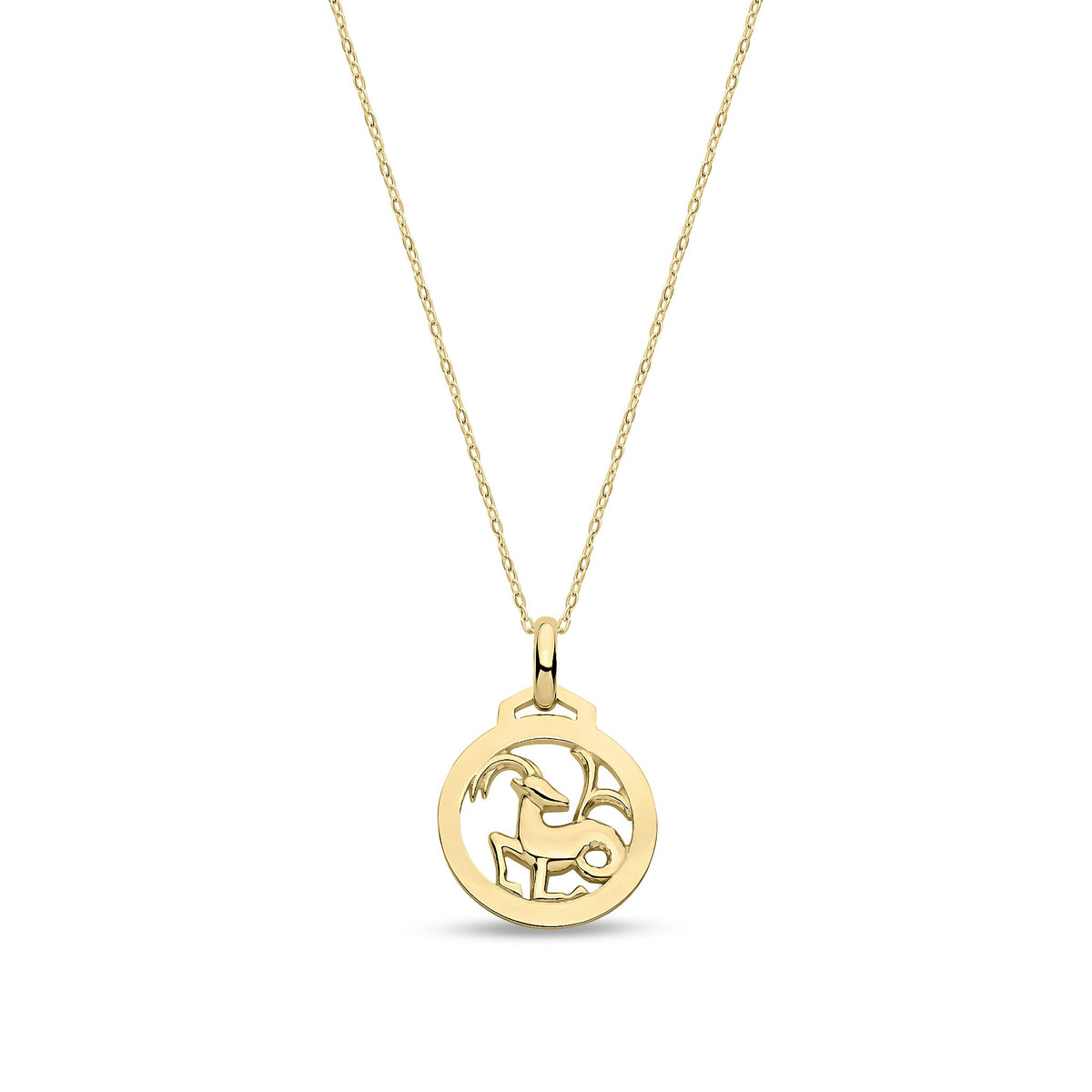 9ct Yellow Gold Capricorn Zodiac Disc Pendant