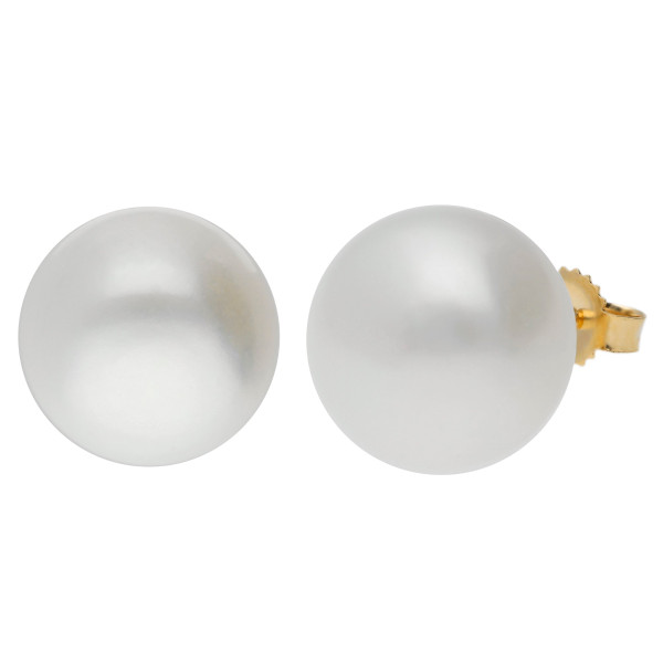 9ct Gold 11mm Freshwater Button Pearl Earrings
