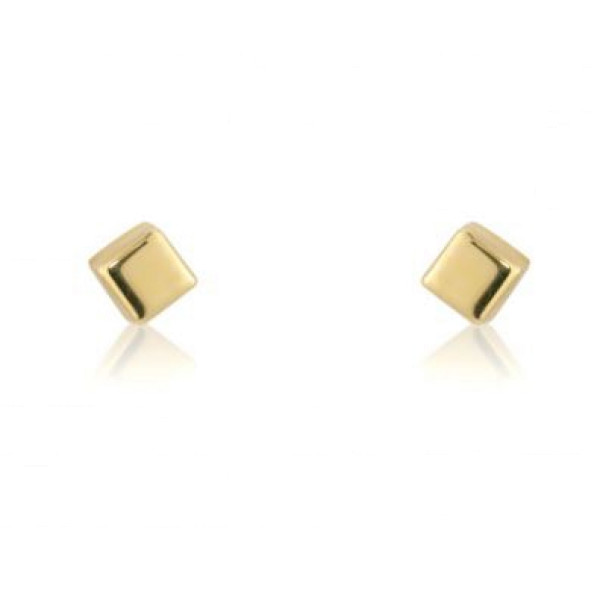 9ct Gold Stud Earrings