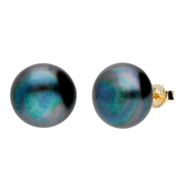9ct Gold 12mm Freshwater Black Button Pearl Earrings