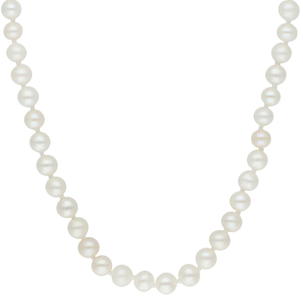 14ct White Gold Freshwater Pearl Necklace