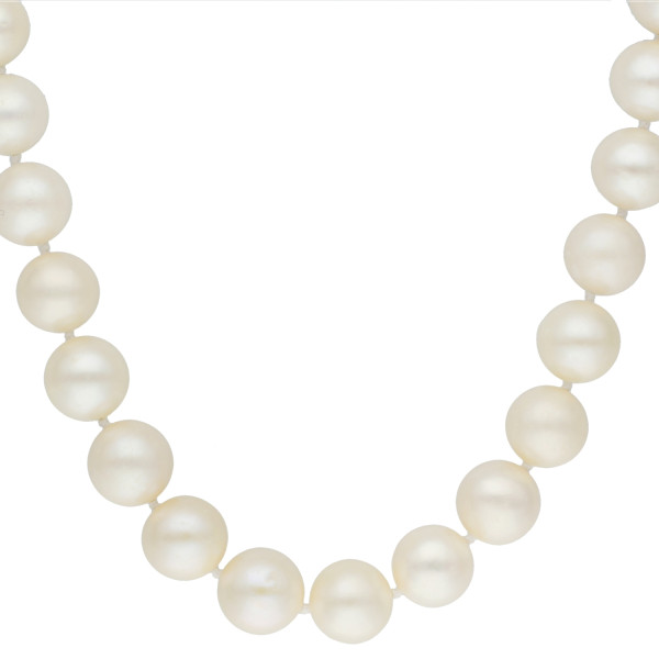 14ct White Gold Freshwater Pearl Necklace