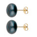 9ct Gold 12mm Freshwater Black Button Pearl Earrings