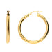 9ct Yellow Gold Hoop Earrings
