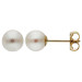 9ct Yellow Gold 6mm Freshwater Pearl Earrings