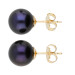 9ct Gold 8mm Freshwater Black Pearl Earrings