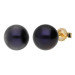 9ct Gold 8mm Freshwater Black Pearl Earrings