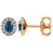 9ct Yellow & White Gold Diamond & Sapphire Halo Earrings