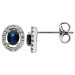 9ct White Gold Diamond & Sapphire Earrings
