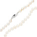 14ct White Gold 6mm Freshwater Pearl Necklace