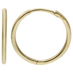 9ct Gold Sleeper Earrings