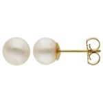 Gold Pearl Stud Earrings