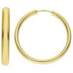 Gold Sleeper Earrings