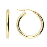 Gold Tube Earrings